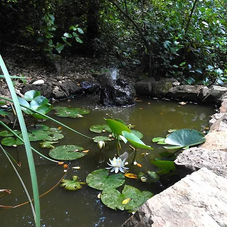 Tipi y Cabaña privada en Sierra de Córdoba